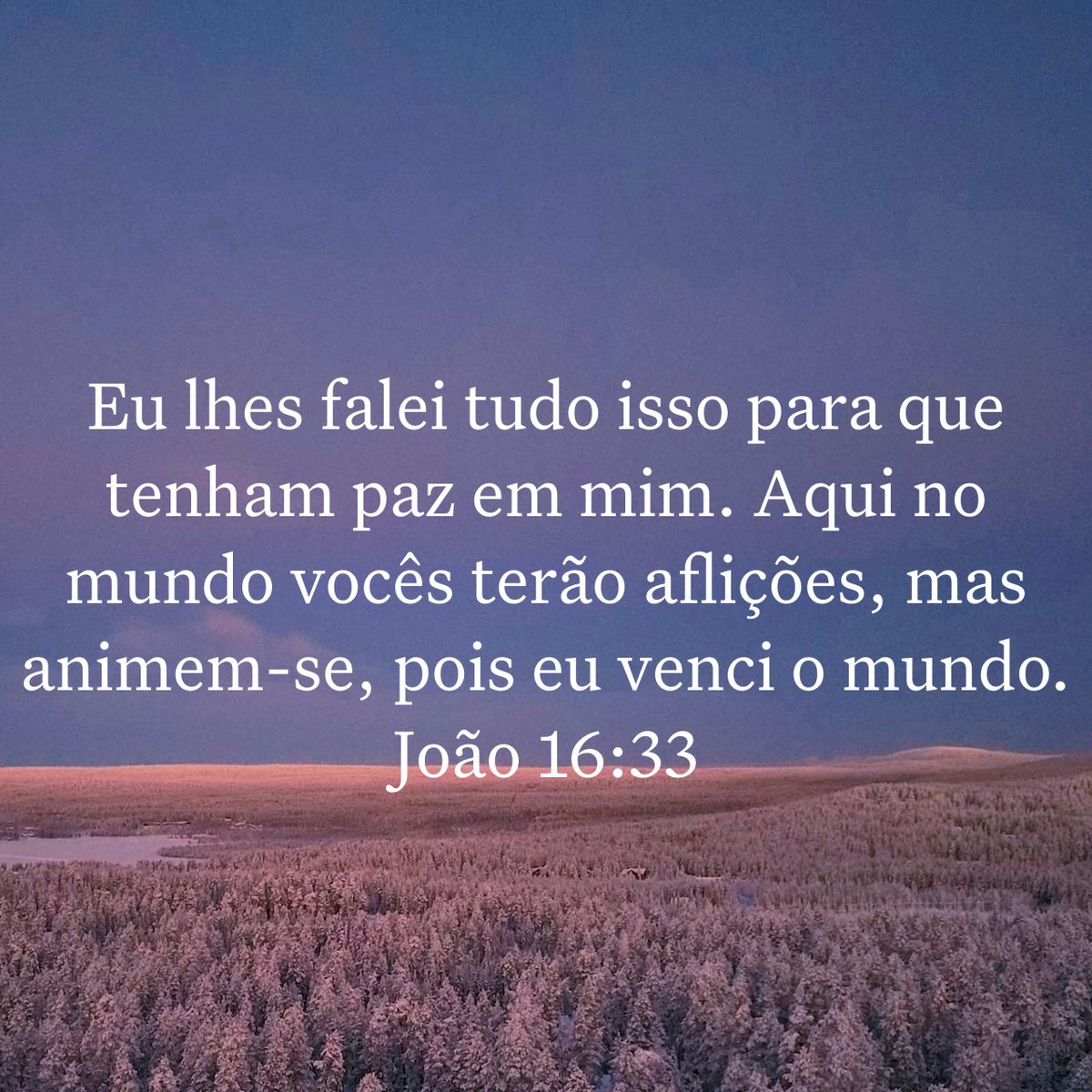 bibliaminuto's tweet photo. Eu lhes falei tudo isso para que tenham paz em mim. Aqui no mundo vocês terão aflições, mas animem-se, pois eu venci o mundo.
João 16:33 https://t.co/TjuxUc02VI