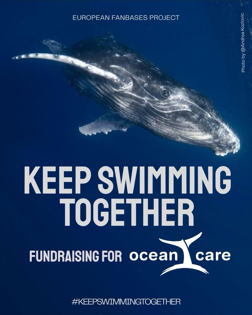 BTS_GerARMY's tweet photo. ARMY 💜

European BTS fanbases have come together to launch the #KeepSwimmingTogether fundraiser in honor of "Arirang" &amp; BTS, supporting OceanCare, an international marine conservation NGO dedicated to protecting our oceans and marine wildlife 🌊💙

🔗https://t.co/zkQ35v7gpP https://t.co/w5d7g9Kbvg