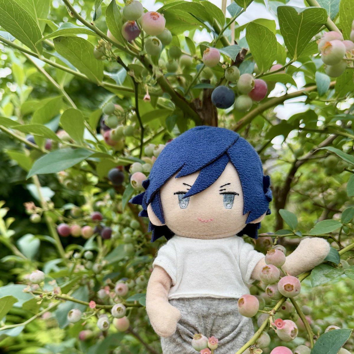 gerugusenpai's tweet photo. 【おまけ】下の方のブルーベリーの位置がよくない。たまたまです(まさかのダブルミーニング) https://t.co/uPcERmXAWZ