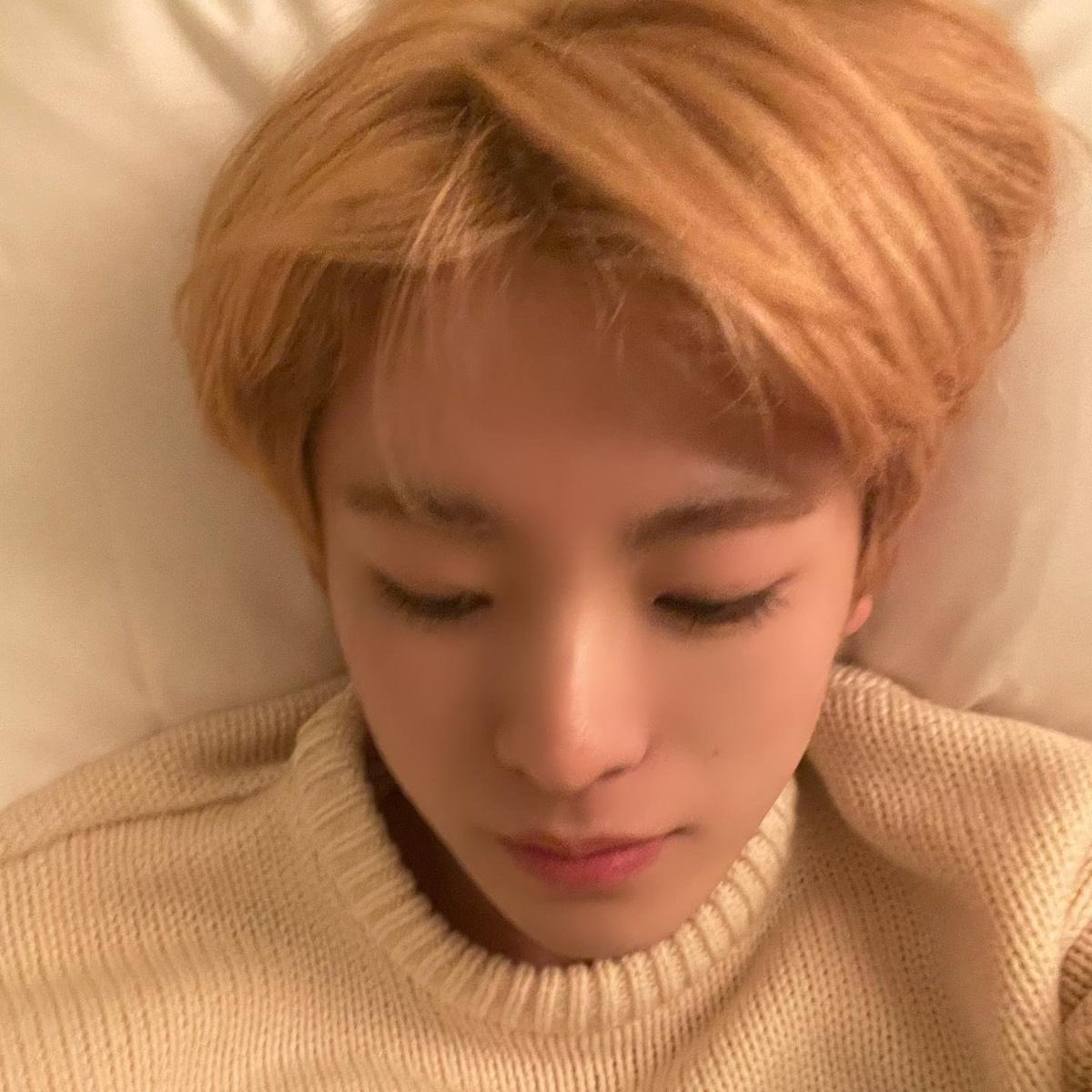 miaooia's tweet photo. 냥.. https://t.co/HKjhq3ey1E