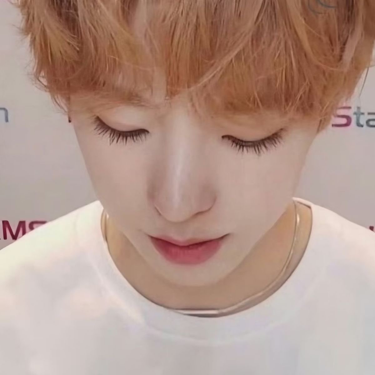 miaooia's tweet photo. 냥.. https://t.co/HKjhq3ey1E
