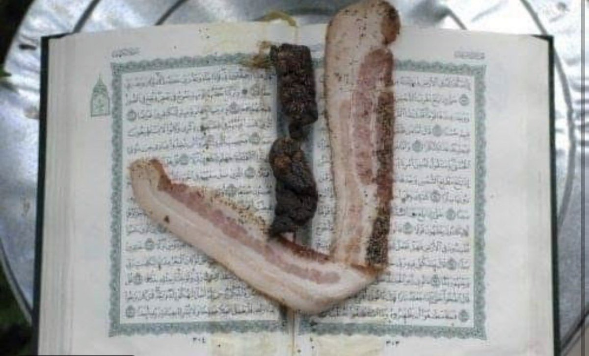 SeDarIranAzad3's tweet photo. @AllahGreatQuran Fuck Islam 
ریدم تو اسلام https://t.co/5ABvuXUYvJ