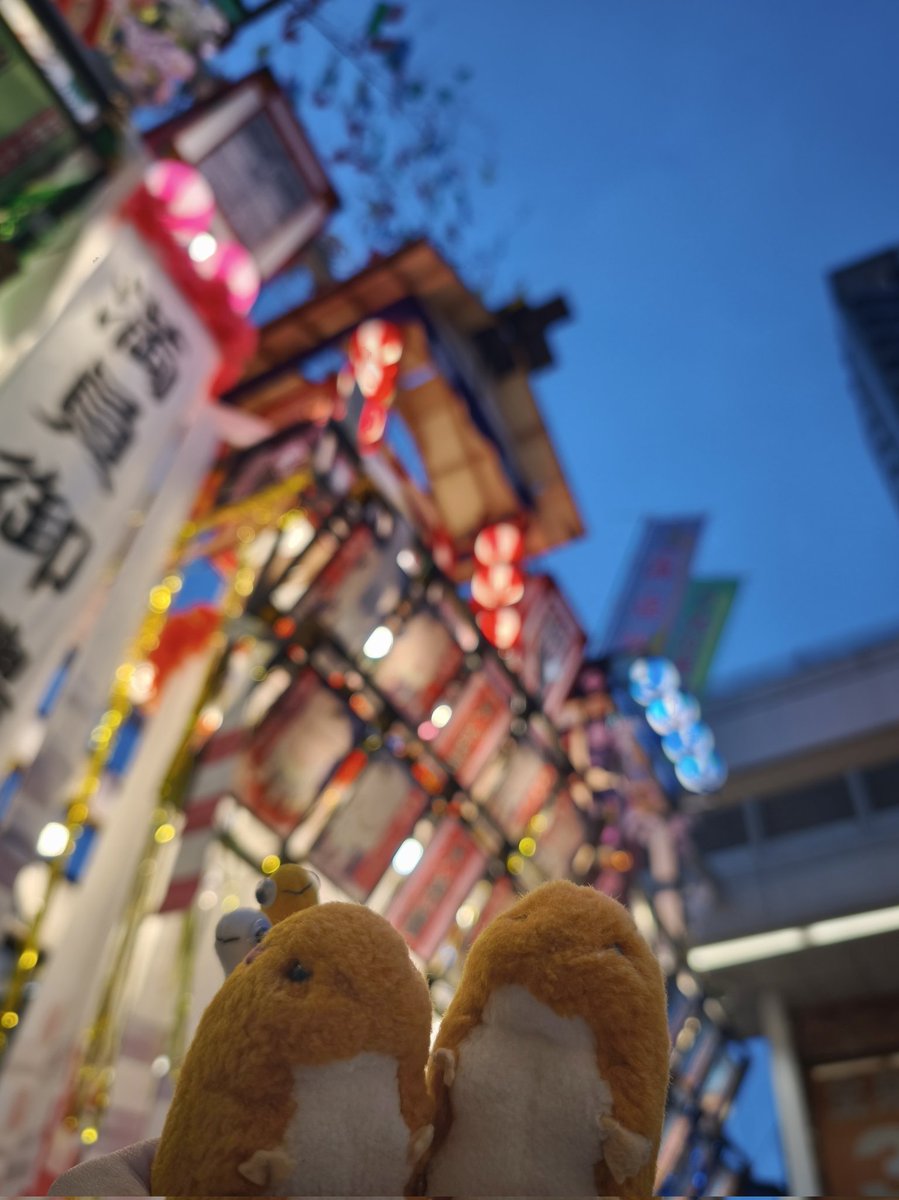 cyber_yutopia's tweet photo. 先日、平塚の七夕祭りに行ってきました💫🎋
素敵な七夕飾りを見つけたのよ😄
満員御禮だって！😆✨
10月のライヴが満員御禮になりますように🙏✨✨

#七夕祭り
#平塚 https://t.co/NMB2Xf5Rs9