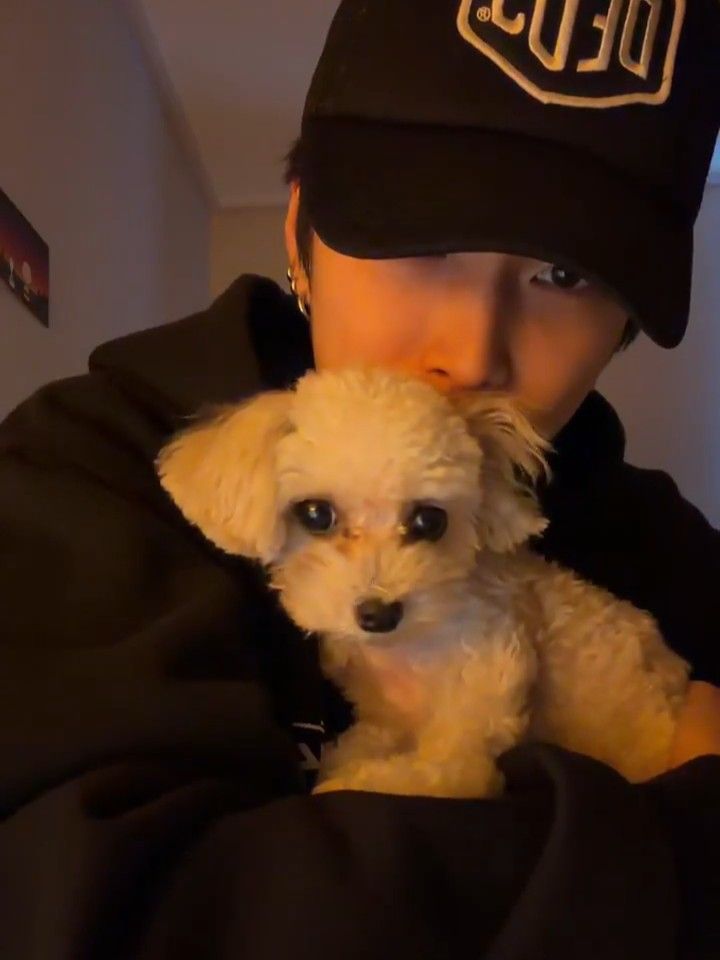 Fromthhvoid's tweet photo. Meet my puppy 🐶 https://t.co/jnmiMOBbNU