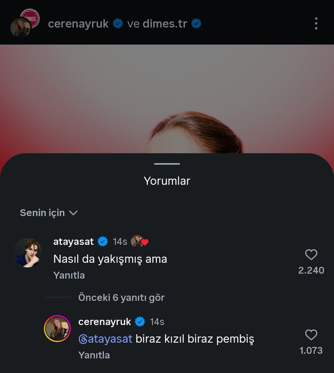 alicephase's tweet photo. ata herkese tatli samimi yorumlar atiyo ama benzer yorumlari heline yani KENDI partnerine attiginda kiyameti koparip primci damgasi vuruyosunuz sonra da niye burda aktif degiller diyosunuz siz ne olsun istiyosunuz amk https://t.co/wzwKV7N0u3