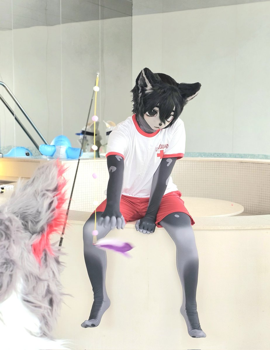 Azul_fur_'s tweet photo. 고양이 낚시🐈🎣
#바다개촬 https://t.co/6tvO89z2wT