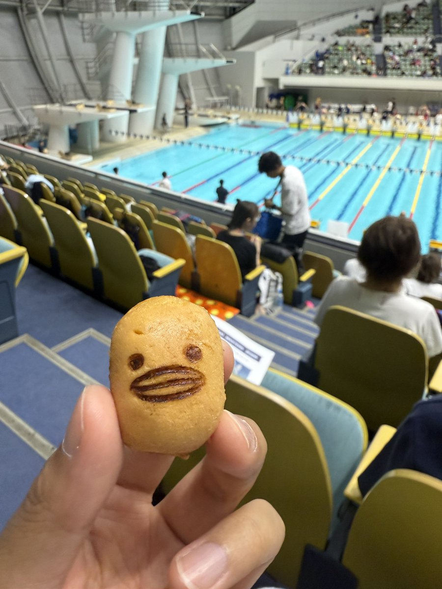 air7_sky's tweet photo. かんさいますたーず
100🏊‍♀️-0.17✨
隣について行こうと思ったけど早々に千切られる
50🦦+0.93
性格歪んどるから真っ直ぐ泳げん。あの天井ダメだ
(8継)200🏊‍♀️ -2.97✨
人生2回目‼️ペース配分と、後何メール泳がなアカンのか分からんくなる。知能が3歳以下だ🙄
今日はリクエストしたカステラ！美味かった🤤 https://t.co/4xzEWOuWMt