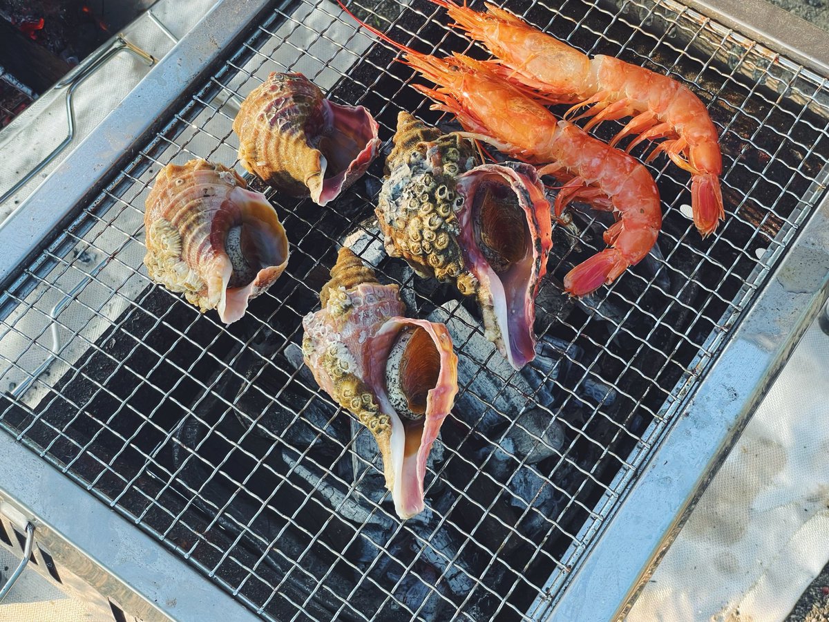 chihosh's tweet photo. 砂湯キャンプ場で今年初キャンプ。おだやかな屈斜路湖をぼんやり眺めているだけで癒される。浜中の漁師さんから巨大なツブをいただいたので焼いてみた。今年に入ってからバタバタしすぎていたので久しぶりに土日休んでリフレッシュできて良い週末になったなぁ。 https://t.co/fWQOw5MTAh