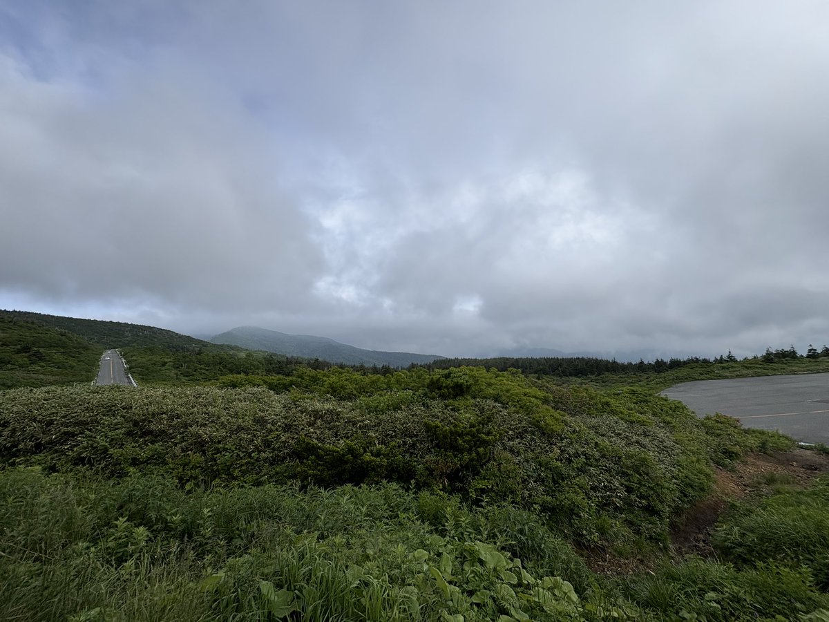 162Salamander's tweet photo. 山形側のエコーライン
宮城側はガスと霧雨で撮影は断念でした https://t.co/QLNNaYOJlX