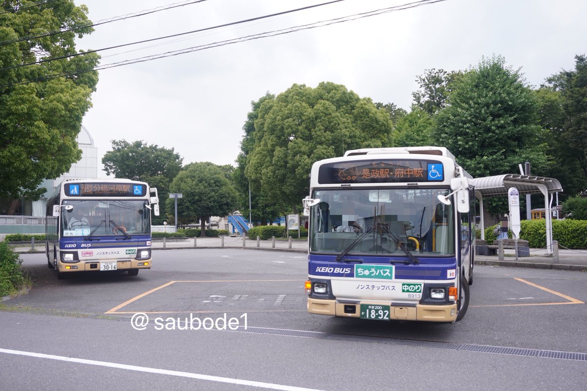 saubode1 tweet picture