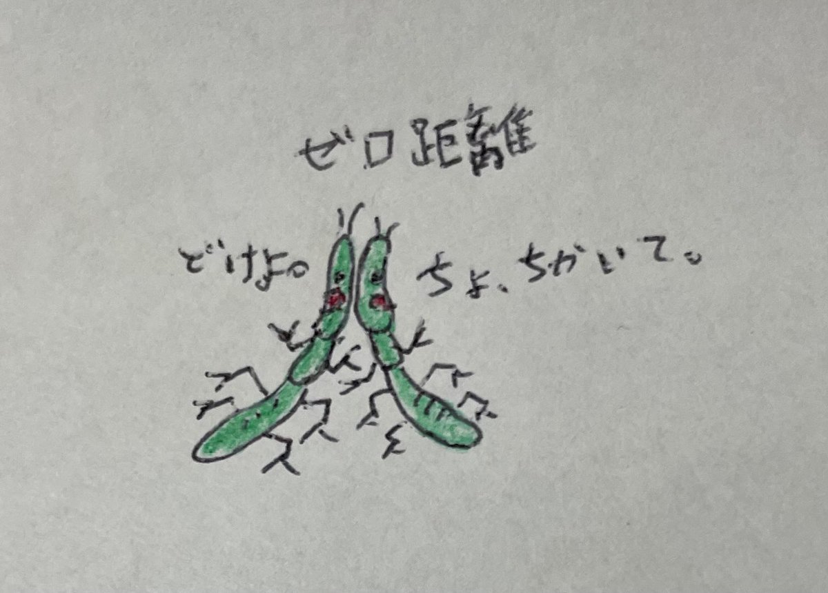 はちみつぼーや tweet media