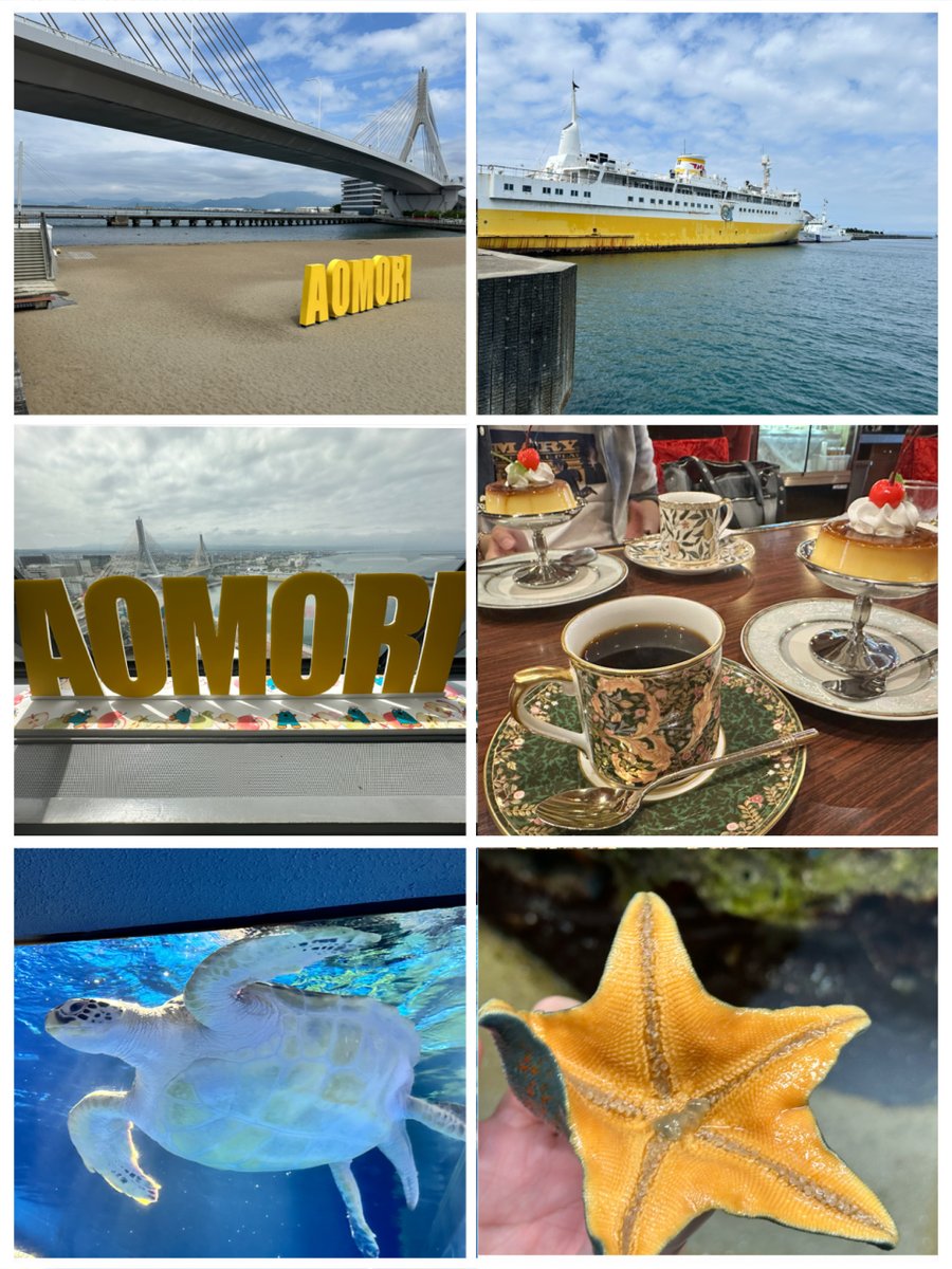 Dr_Coppelius's tweet photo. 昨日まで3日間青森旅行に行ってきたゾ。
美味しい料理、綺麗な山と海、ゆったりくつろげる旅館、ねぶた、展望台、水族館、シーシャバーに純喫茶、どれもほんとに最高だった。
もう第二の故郷ってレベルで大好きなのでそのうち絶対また行きたい。 https://t.co/X8BTlT4kDW