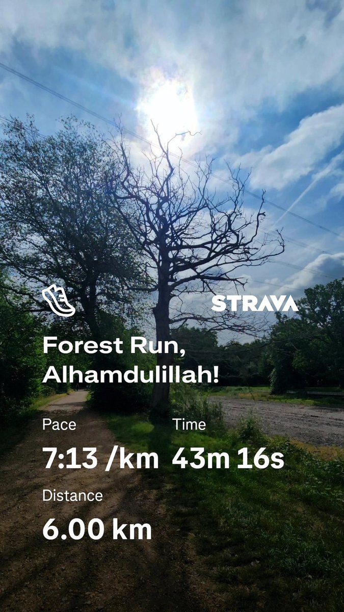 aini_butt's tweet photo. Sometimes, all you need is a meeting with the locals at the forest to keep you moving...
🐄 
Alhamdulillah!
@WeAreERC https://t.co/JICwqB63Dw