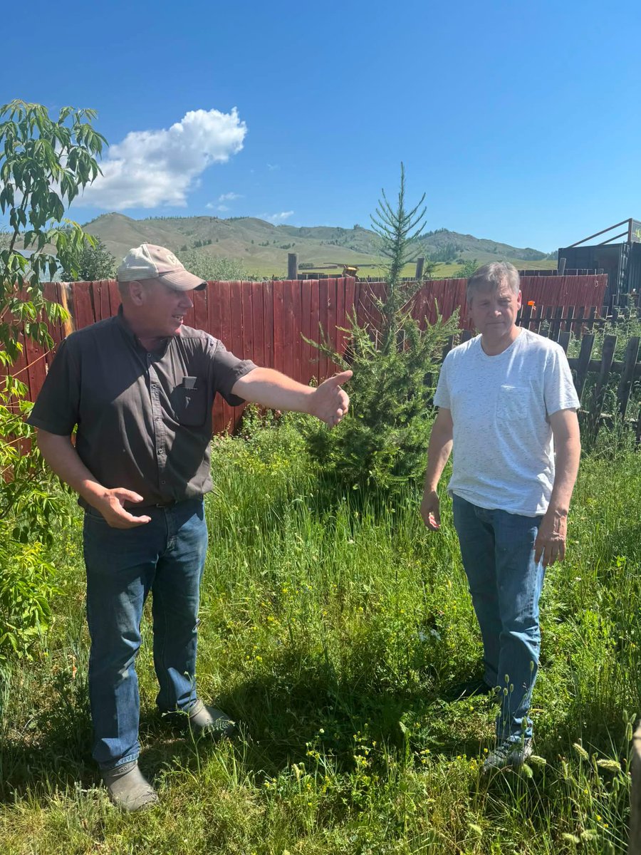 JaapVanHierden's tweet photo. In Bulgan’s Khutag‑Undur, I met Canadian entrepreneur Jeremy Thiessen. By finishing cattle on feed and showcasing rotational grazing, he proves premium beef can align with rangeland restoration. https://t.co/aZWP9UXvhP