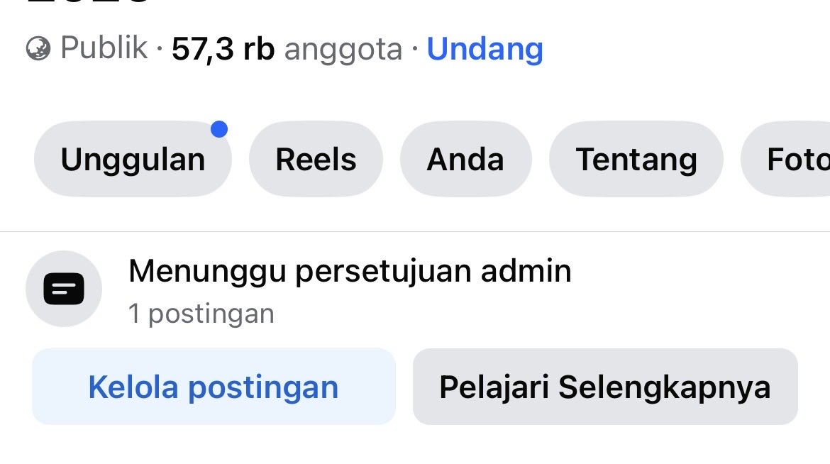 Penyu tweet media