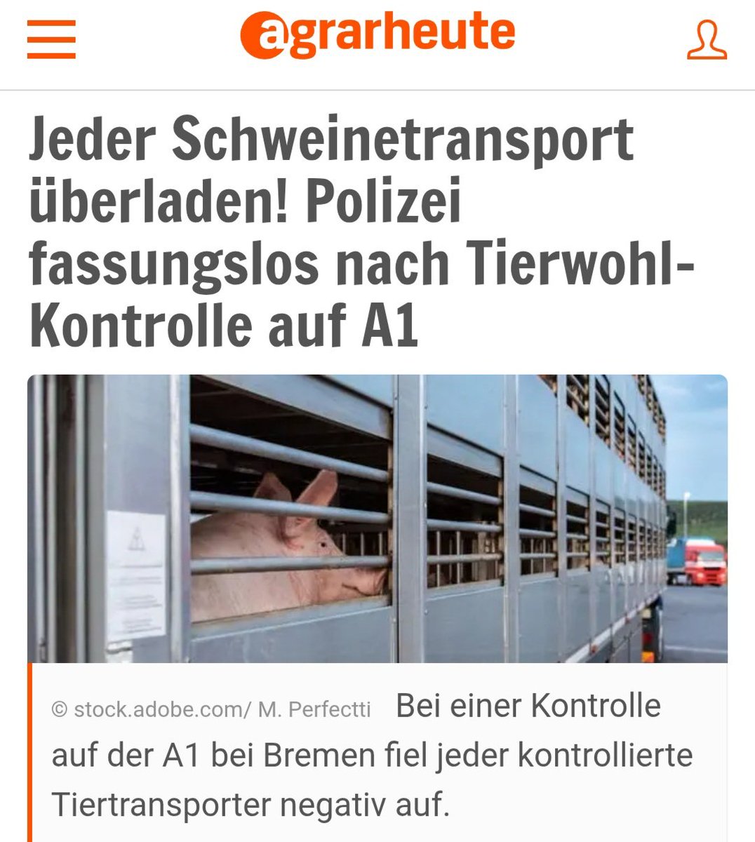 GwiasdaSig15128's tweet photo. Überladung ohne Ausnahme: Eine Kontrolle auf der A1 bei Bremen deckte erhebliche Verstöße bei mehreren Schweinetransportern auf. Die Kontrollen fanden bei starker Sonneneinstrahlung statt. 
https://t.co/iNPP1RAkWh https://t.co/mx0THPYZRg