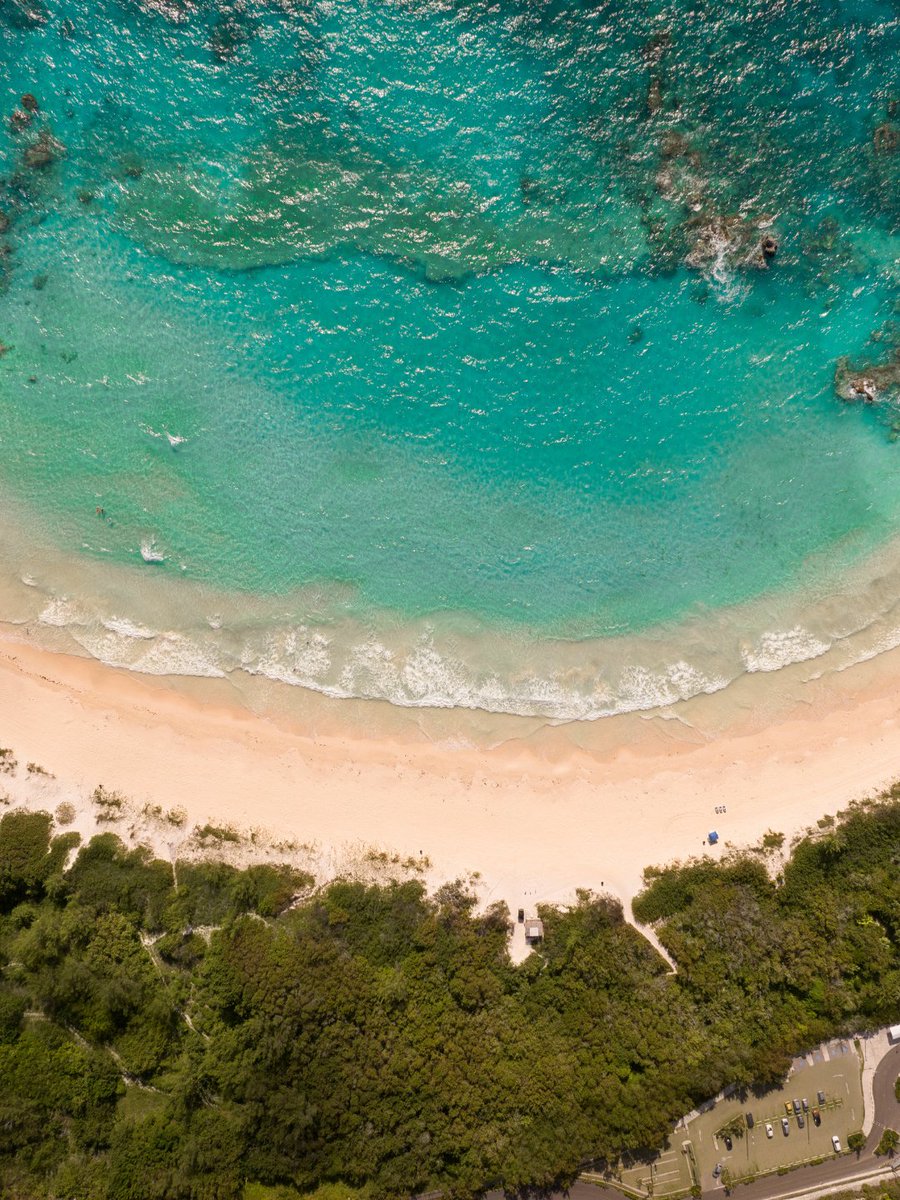 Bermuda tweet media