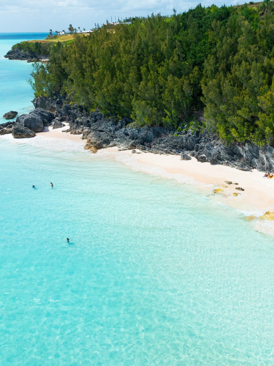 Bermuda tweet media