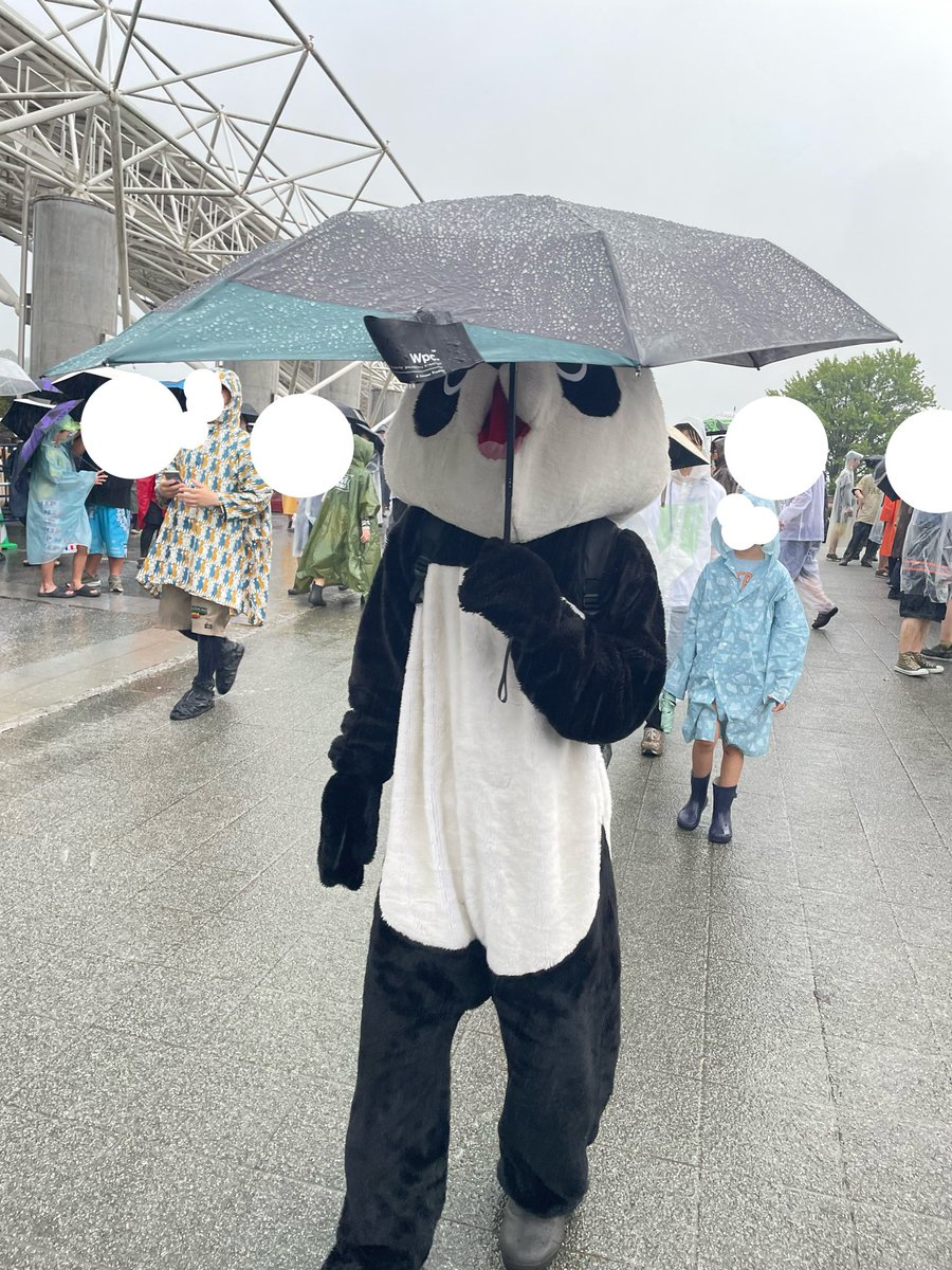 txxk1210's tweet photo. パンダさん何かしら殺めてそうな顔で歩いてた。
#京都大作戦 https://t.co/otsIyHWPsR