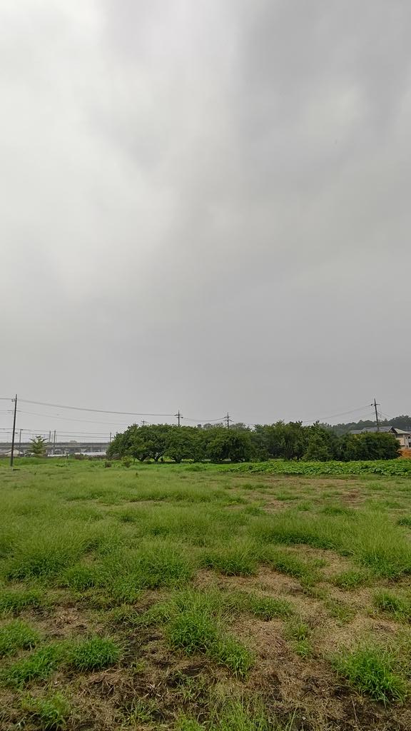 so197219's tweet photo. 雨が降ったり
止んだりで
典型的な梅雨空の
一日でした☁️☂️ https://t.co/QPz9PBcXUg