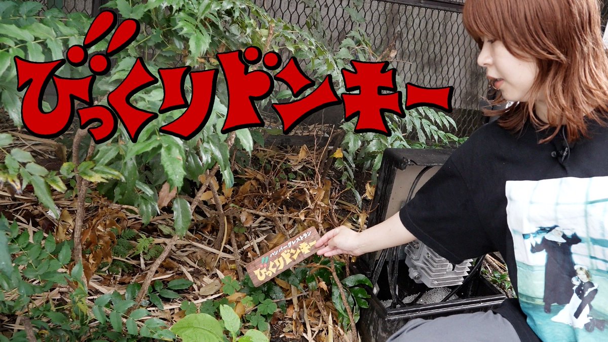 ams_kn_'s tweet photo. 街中でびっくりドンキーみたいなところを探して当てがってみたらかなり見ものなんじゃないかと思って

https://t.co/qWwokXLhdC https://t.co/84opgwK7KM