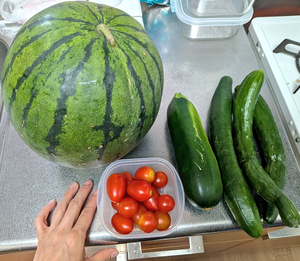 kobako0508's tweet photo. 夏がきた。
※とうもろこし３本もあります。 https://t.co/JUEGQpVtSZ