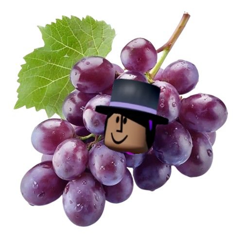 sparkling_fizz's tweet photo. recallafruits
hi guys who wants some fruits 👀👀 /silly  #recallahollowheart https://t.co/7uT5m3YbGF