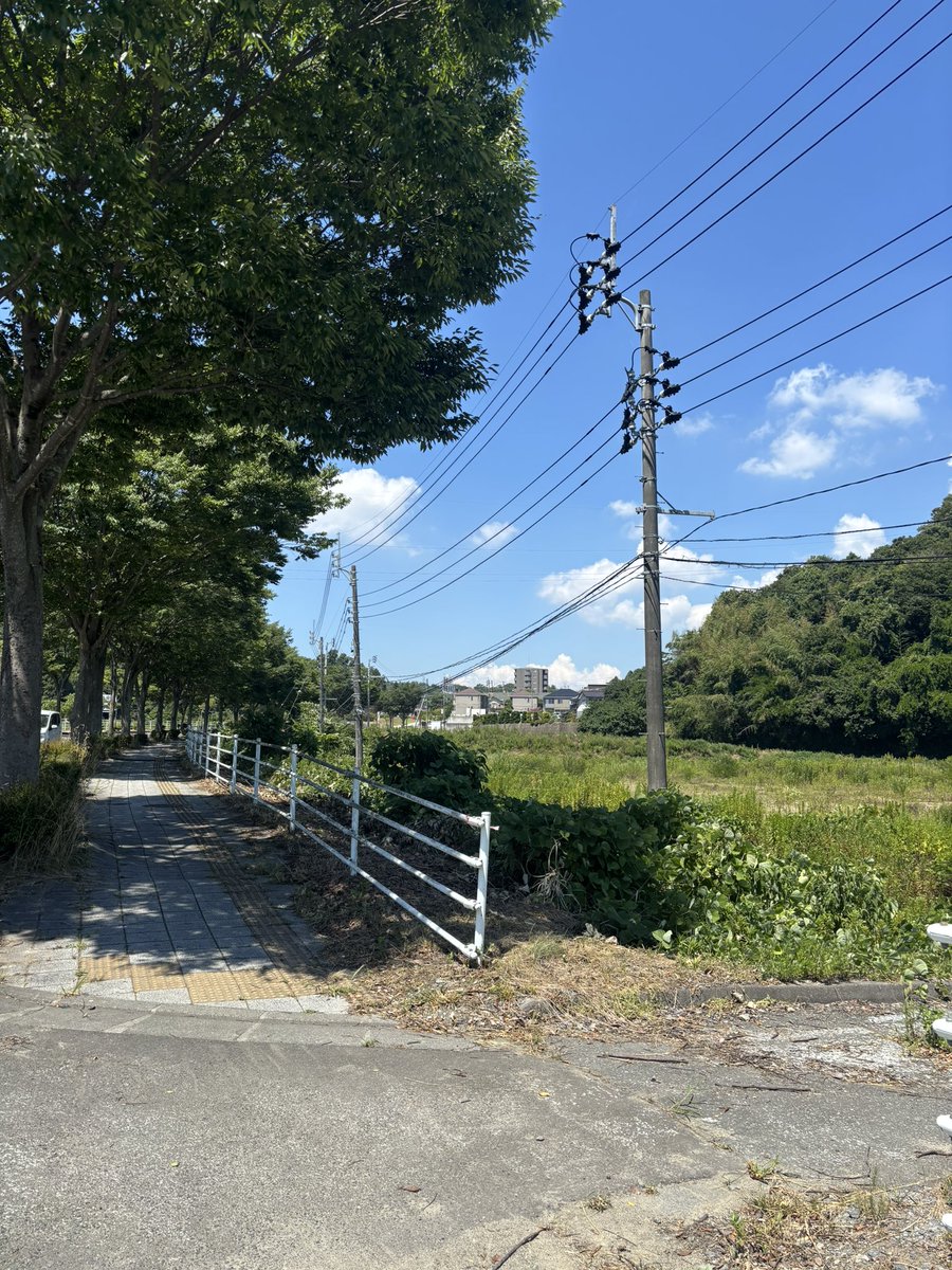 nantoru's tweet photo. 夏の陽射しと雲 https://t.co/bwqvi9vrMs