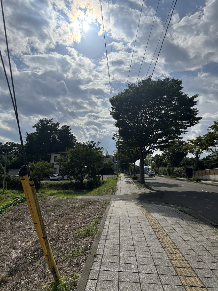 nantoru's tweet photo. 夏の陽射しと雲 https://t.co/bwqvi9vrMs