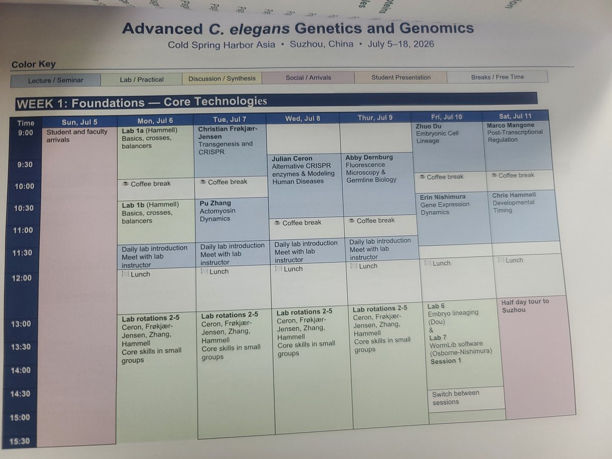 Ceron Lab tweet media