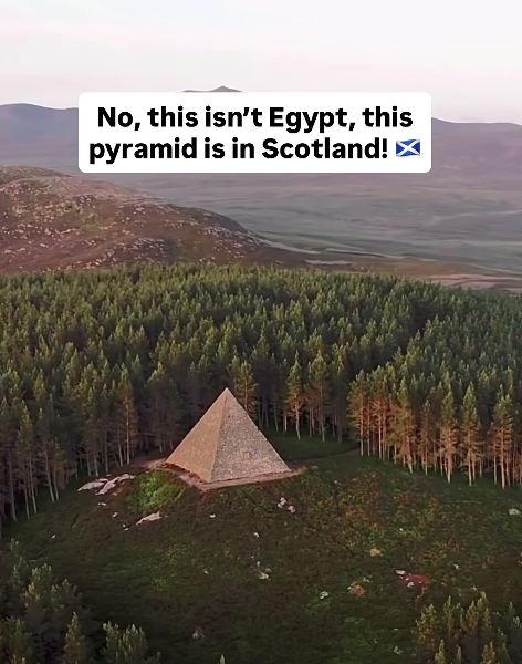 Sovereign 🏴👑 tweet media