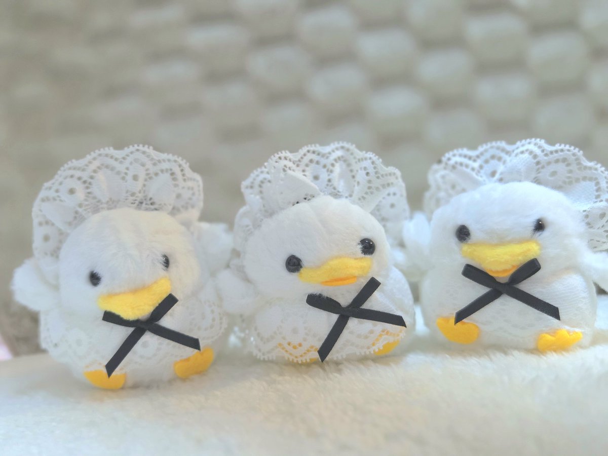 sally_nui's tweet photo. 個性、豊か https://t.co/ijLLU9u1gR