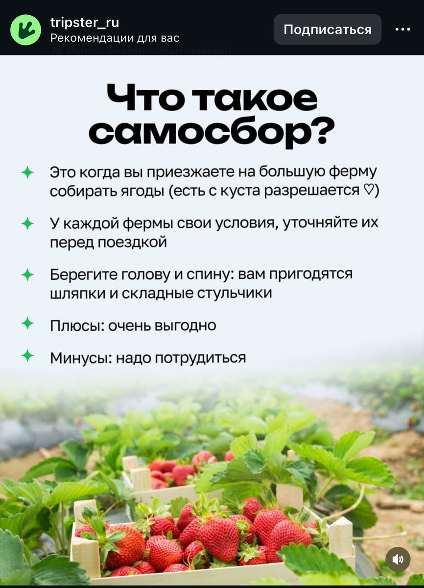 Dr_Alice_Woods's tweet photo. Не совсем. https://t.co/gUnWYCfJsX