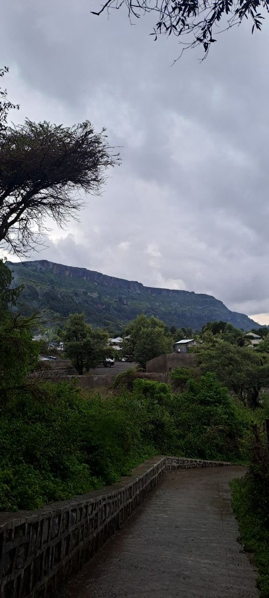 HRorisa's tweet photo. ሰማዩን በደመናት ይሸፍናል ለምድርም ዝናብን ያዘጋጃል ሣርን በተራራዎች ላይ ያበቅላል ለምለሙንም ለሰው ልጆች ጥቅም።
መዝሙር 146

የ ዝናም እግሩ ተሰማ (ቅዱስ ያሬድ )
#ወርሃ_ክረምት https://t.co/7FqSRMNOeD