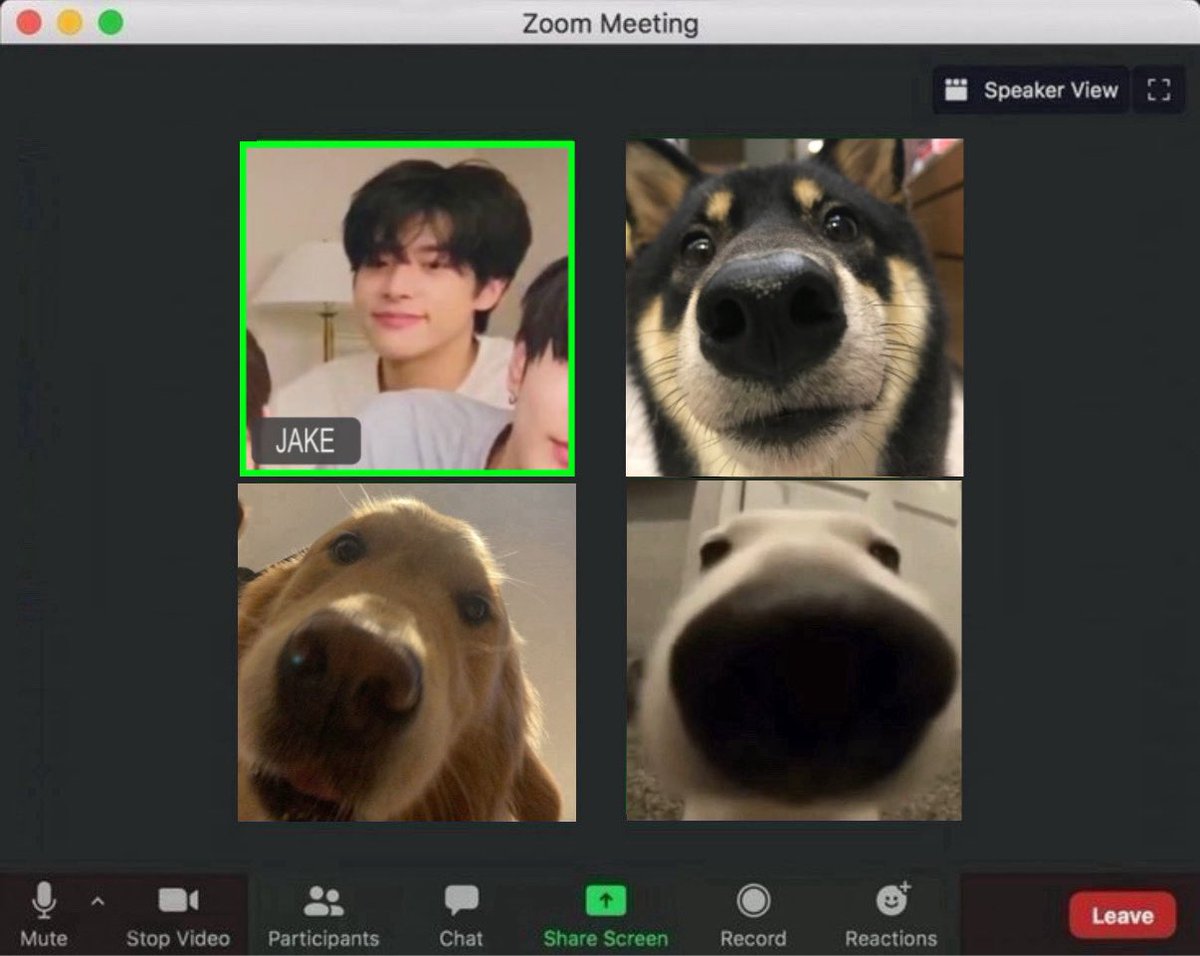 jakk33y's tweet photo. 여의즈 Zoom Meeting https://t.co/4hGjTnitHP