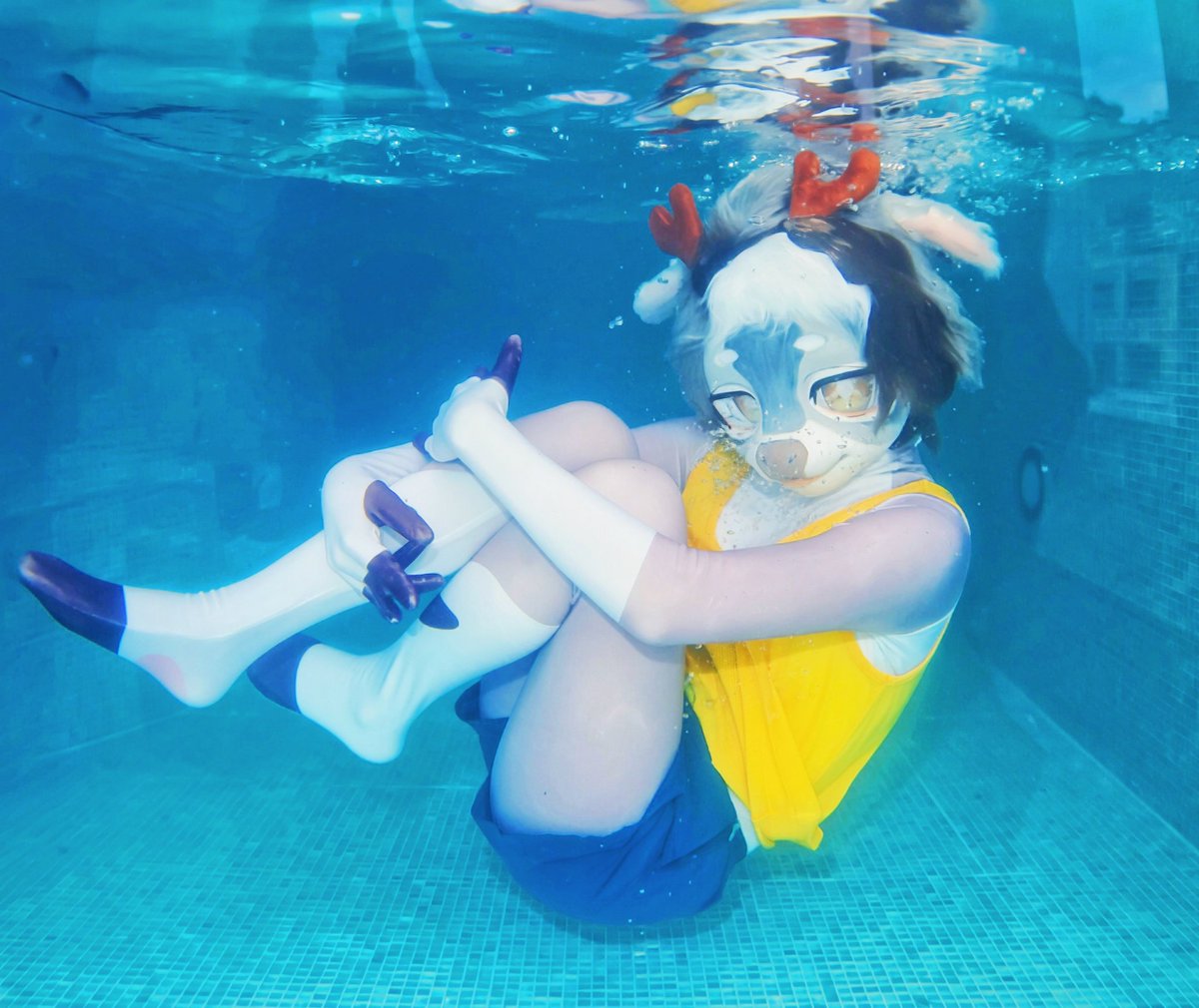 4747_Furry's tweet photo. 🌊심해 송아디🌊 https://t.co/Fgkv9XRPgT