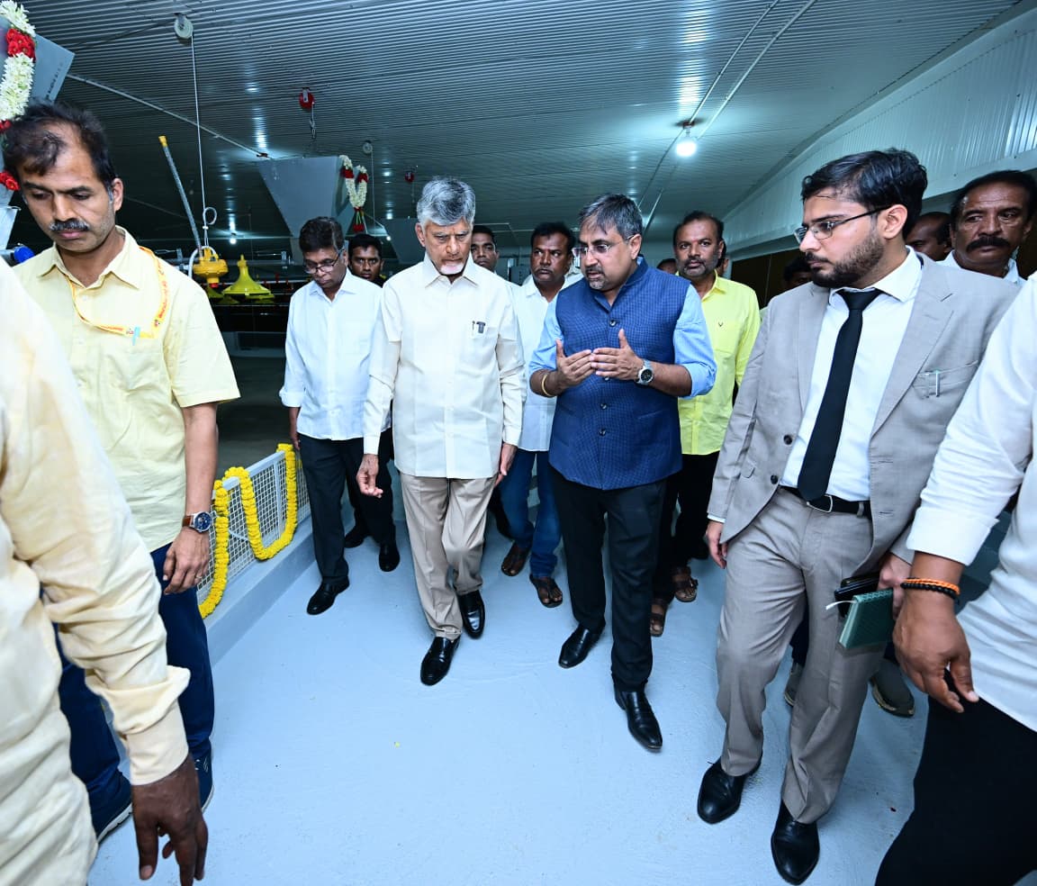 AndhraPradeshCM's tweet photo. కుప్పం పర్యటనలో భాగంగా గౌరవ ముఖ్యమంత్రి శ్రీ నారా చంద్రబాబు నాయుడు పర్యావరణ నియంత్రిత పౌల్ట్రీ ఫారంను నేడు ప్రారంభించారు. ఆధునిక కోళ్ల పెంపకానికి సంబంధించిన ఎన్విరాన్‌మెంటల్ కంట్రోల్డ్ పౌల్ట్రీ షెడ్‌ను పరిశీలించారు. ఈ సందర్భంగా రైతులతో మాట్లాడారు. ఉష్ణోగ్రత, తేమ, గాలి, వెలుతురు అన్నింటినీ సాంకేతికత ద్వారా నియంత్రించి, కోళ్లకు అనుకూలమైన వాతావరణాన్ని కల్పించవచ్చని రైతులు వివరించారు. దీనివల్ల గుడ్లు, మాంసం ఉత్పత్తి పెరగడంతో పాటు, కోళ్లు చనిపోవడం తగ్గుతుందని తెలిపారు.
#AndhraPradesh