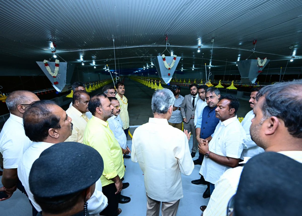 AndhraPradeshCM's tweet photo. కుప్పం పర్యటనలో భాగంగా గౌరవ ముఖ్యమంత్రి శ్రీ నారా చంద్రబాబు నాయుడు పర్యావరణ నియంత్రిత పౌల్ట్రీ ఫారంను నేడు ప్రారంభించారు. ఆధునిక కోళ్ల పెంపకానికి సంబంధించిన ఎన్విరాన్‌మెంటల్ కంట్రోల్డ్ పౌల్ట్రీ షెడ్‌ను పరిశీలించారు. ఈ సందర్భంగా రైతులతో మాట్లాడారు. ఉష్ణోగ్రత, తేమ, గాలి, వెలుతురు అన్నింటినీ సాంకేతికత ద్వారా నియంత్రించి, కోళ్లకు అనుకూలమైన వాతావరణాన్ని కల్పించవచ్చని రైతులు వివరించారు. దీనివల్ల గుడ్లు, మాంసం ఉత్పత్తి పెరగడంతో పాటు, కోళ్లు చనిపోవడం తగ్గుతుందని తెలిపారు.
#AndhraPradesh