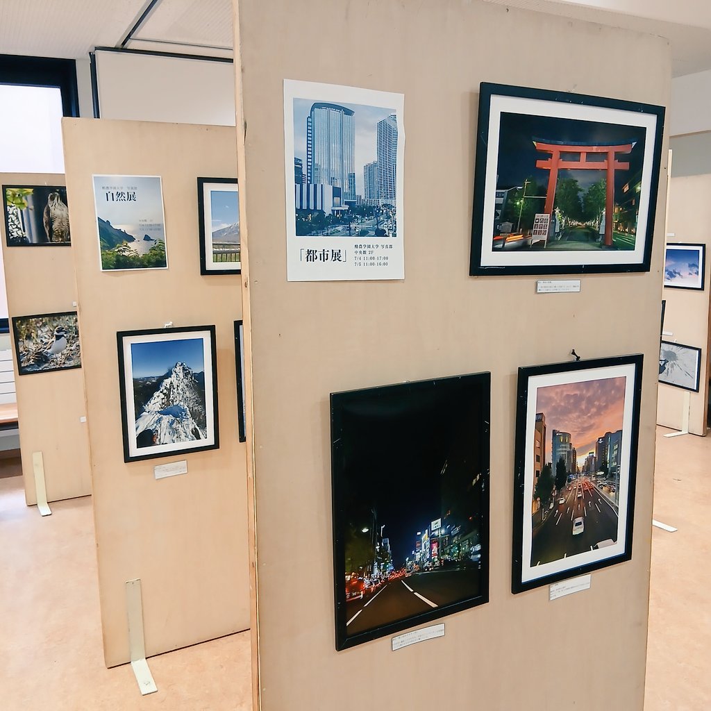 raku_pic's tweet photo. 本日、白樺祭が無事に終了しました！
写真部の展示に来てくださった皆様、ポストカードを購入してくださった皆様、ありがとうございました！
来年も皆様に喜んでもらえるような写真展にするために、精進してまいります！

#酪農学園大学
#酪農学園大学写真部
#白樺祭 https://t.co/uercTB6057