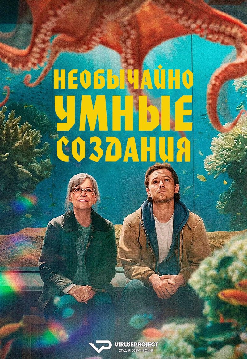 viruse_VP's tweet photo. фильм - Необычайно умные создания 

скачать/смотреть онлайн на сайте - https://t.co/3HMAybvUJa
смотреть на Rutube - https://t.co/n1iEHEiKbs

#драма #комедия #фильм #Viruseproject #озвучка #кино https://t.co/uOjJtTHpUV