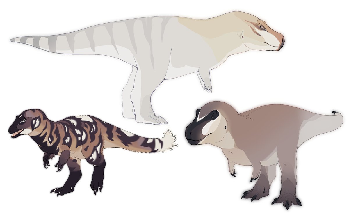 Entitycore's tweet photo. tyrannosaurid designs (all were sold) https://t.co/9R9Gpfn2gK