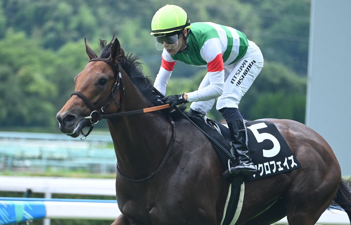 netkeiba's tweet photo. 小倉9R 青島特別 3歳上1勝
#アクロフェイズ
父ロードカナロア
母クルミネイト
半兄アルテヴェローチェ

小倉10R 九州スポーツ杯 3歳上2勝
#マジックローズ
父キズナ
母エンジェルフェイスはフラワーC覇者
鞍上は共に #西村淳也 騎手。 https://t.co/jkFd3R9Xhy