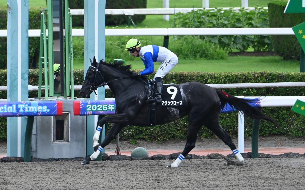 netkeiba's tweet photo. 小倉9R 青島特別 3歳上1勝
#アクロフェイズ
父ロードカナロア
母クルミネイト
半兄アルテヴェローチェ

小倉10R 九州スポーツ杯 3歳上2勝
#マジックローズ
父キズナ
母エンジェルフェイスはフラワーC覇者
鞍上は共に #西村淳也 騎手。 https://t.co/jkFd3R9Xhy