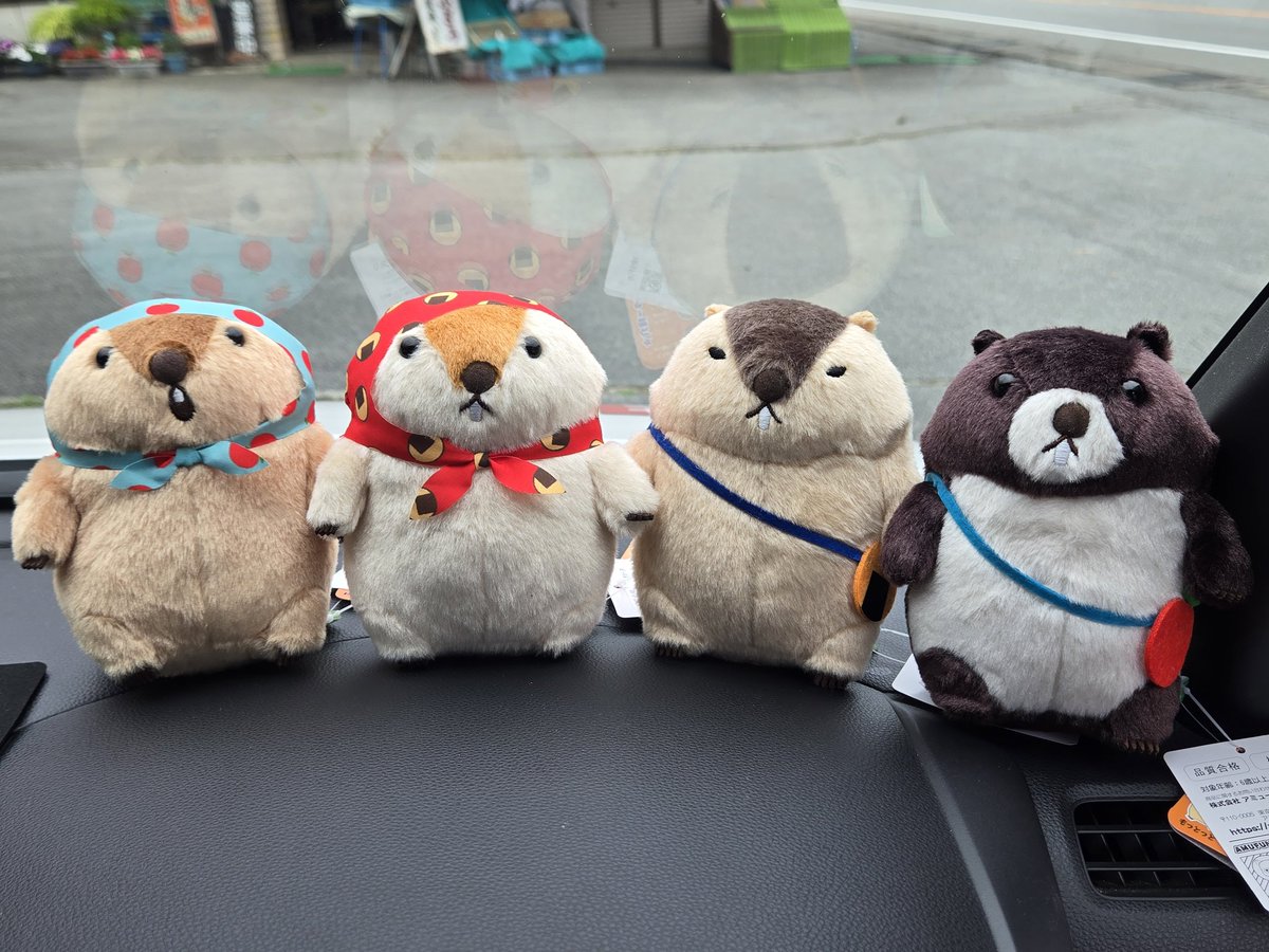 DDOTFPB's tweet photo. おめかしした #もっとっと 達と山梨へ🚙
いつも食べている焼きとうもろこしの店がまだ今シーズンは開店しておらず……2週間後くらいに再トライかな？

途中、リニューアルキャンペーン中のスーパーで見つけたマグロ寿司がめっちゃ美味しくて✨ https://t.co/QPTJPfxki5