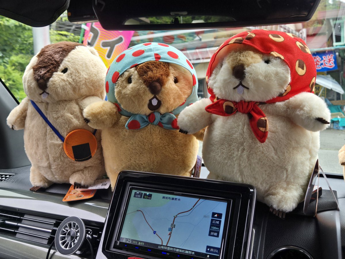 DDOTFPB's tweet photo. おめかしした #もっとっと 達と山梨へ🚙
いつも食べている焼きとうもろこしの店がまだ今シーズンは開店しておらず……2週間後くらいに再トライかな？

途中、リニューアルキャンペーン中のスーパーで見つけたマグロ寿司がめっちゃ美味しくて✨ https://t.co/QPTJPfxki5