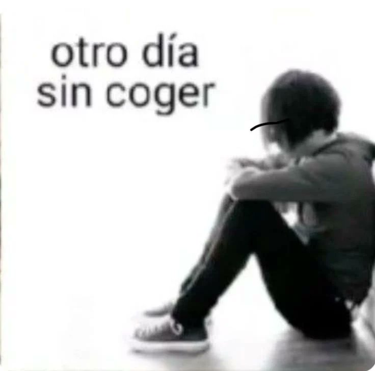 coco tweet media