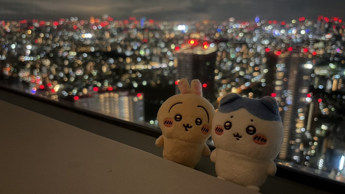 zerun0217's tweet photo. 絶景なり〜〜〜〜〜〜 https://t.co/S2jZwmwHmq