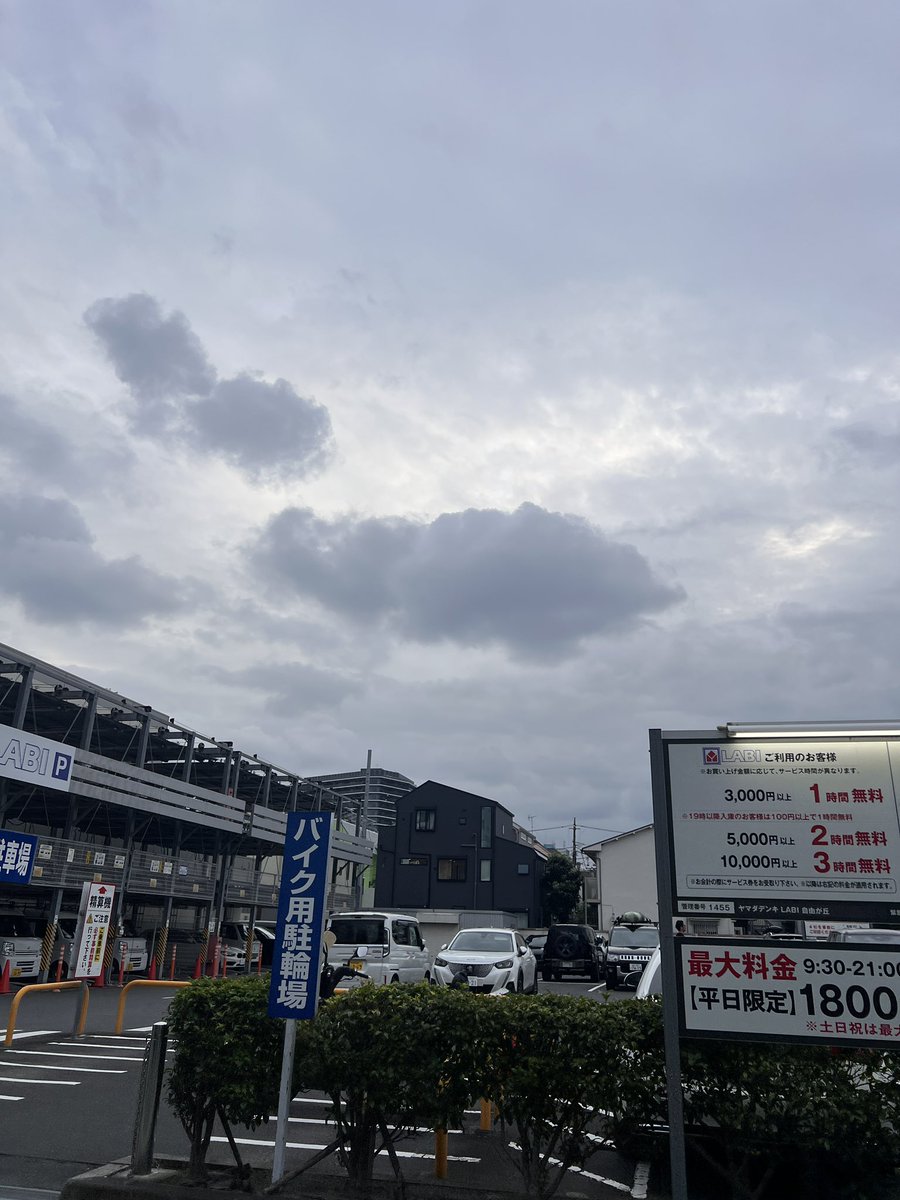 onototo tweet picture