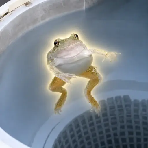 FLIPARENASOL's tweet photo. just spinning frog
solana:5XFYxNg16y2KmEZLARWCCktuiA5QGD8ihJXu5xHapump https://t.co/8Hyb13gwtm