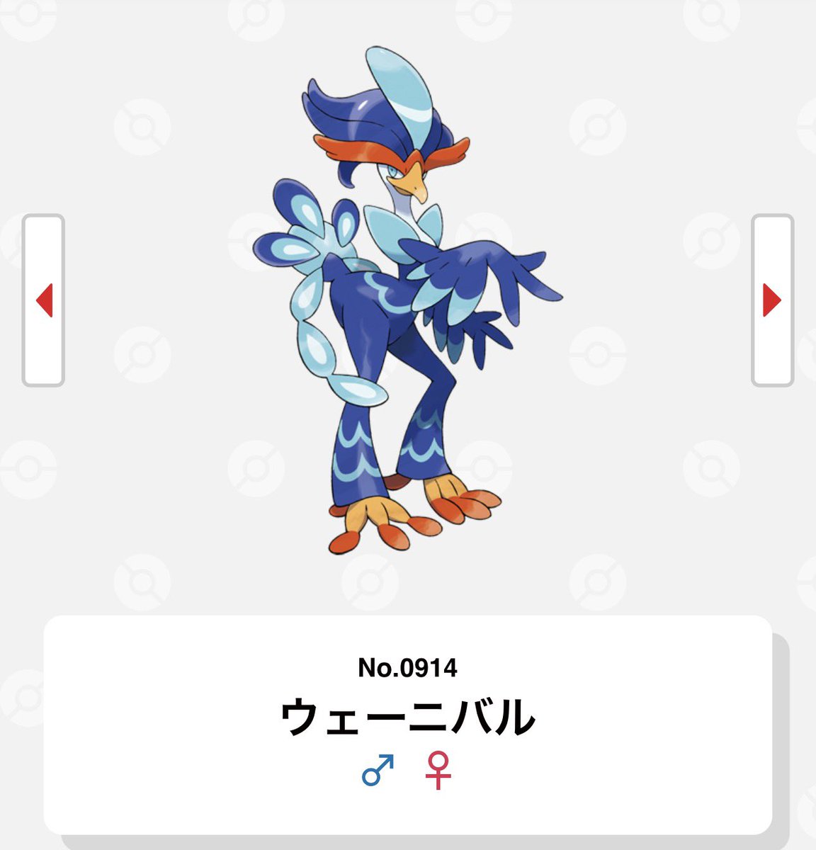 heiwajubilo's tweet photo. 鳥
青い
ブラジル人がチームも街も多い→サンバ https://t.co/1nNK9LldAY